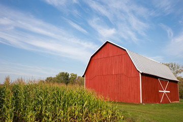 red barn with corn and dramatic sky