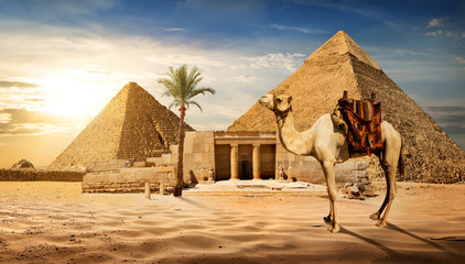 Wall Mural - Entrance to pyramid