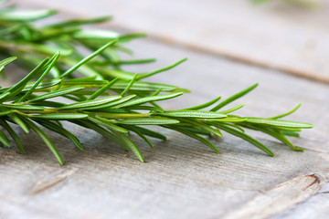 Wall Mural - Rosemary  on a wooden background