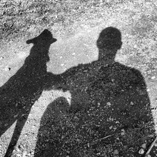 Man And His Dog Cast Silhouttes Whilst Bonding