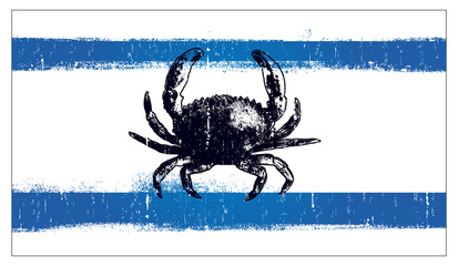 grunge vintage summer flag with crab