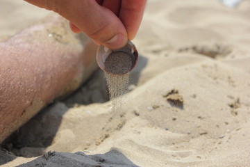 sand and shell