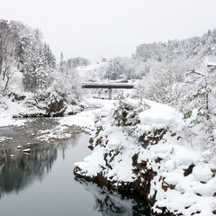 Wall Mural - Shirakawago Japan Winter