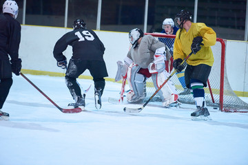 Wall Mural - ice hockey goalkeeper