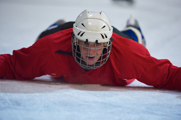 Wall Mural - ice hockey player in action