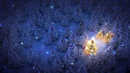 illuminated christmas trees in pine woods at night, aerial view