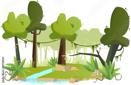 forêt tropicale