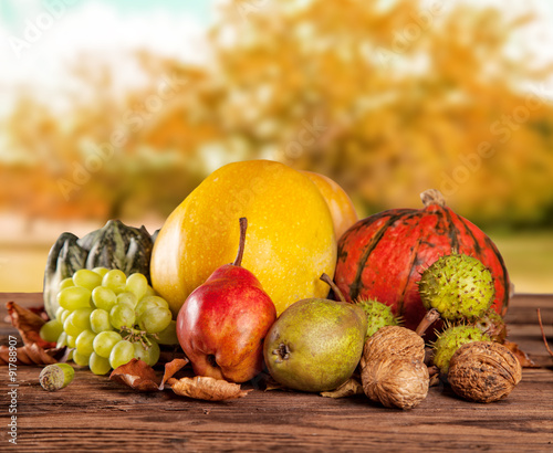 Naklejka na meble Fall fruit and vegetables on wood. Thanksgiving concept