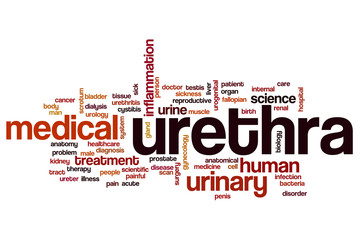 Poster - Urethra word cloud concept