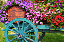 Flower Decorated Wine Cart For Harvest Festival