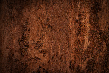 wood texture