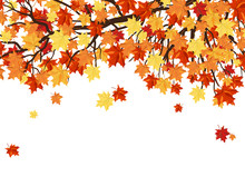 Autumn Leaves  Frame
