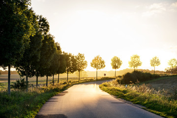  country road  leading to the autumnal sunset light, concept of