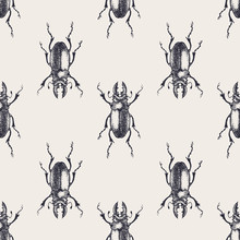 Beetles Vintage Seamless Pattern