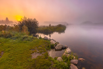 Poster - Misty Morning lake