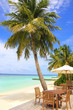 Maldives, tropical beach bar