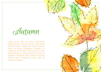 Wall Mural - hand drawn autumn leaves