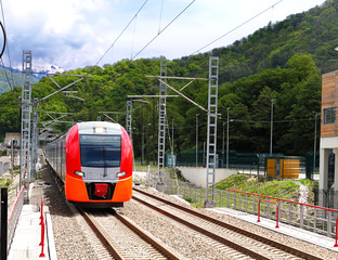 Train on the railway