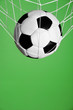 © Africa Studio - Soccer ball in the net on green background
