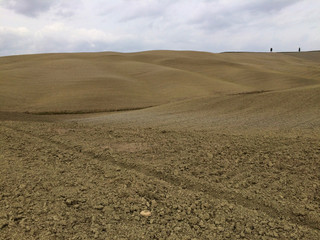 Colline Toscane, campagne intorno Pienza, Italia