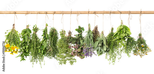 Naklejka dekoracyjna Herbs hanging isolated on white. basil, rosemary, thyme, dandeli