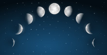Moon Phases Vector