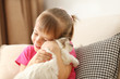 © Africa Studio - Little cute girl playing with kitten on sofa at home