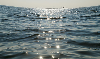 Canvas Print - The Black Sea in the morning