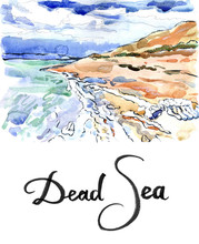 Salt Formations Dead Sea Israel