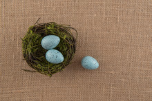 Blue Speckled Eggs And Nest