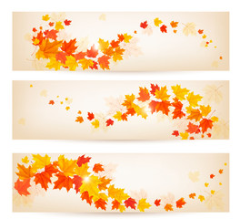 Wall Mural - Three autumn banners with colorful leaves Vector