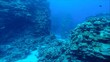 Unterwasserlandschaft im St. John-Riff, Ägypten