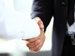 © opolja - Business people shaking hands, finishing up a meeting