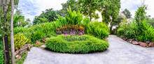 Panoramic View Of Flora Garden With Cement Pathway.