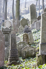 Jewish Cemetery, Trebic, Czech Republic