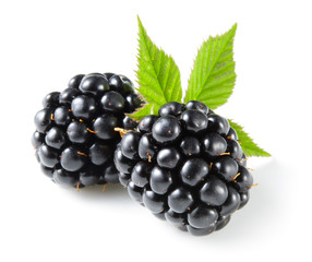 blackberry with leaf isolated on white.