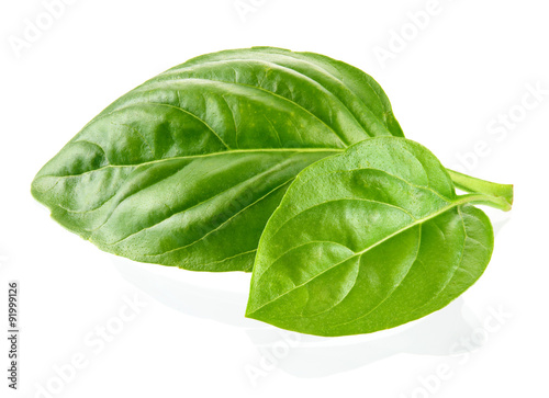 Cuadros en Lienzo Fresh organic basil leaves isolated on white background