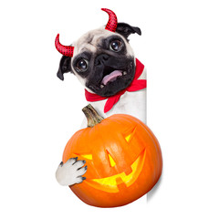 Wall Mural - halloween devil dog