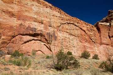 Wall Mural - Grand geological formations characterize Capitol Reef National Park in Utah