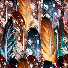 Poster - Vector seamless background with colorful feathers