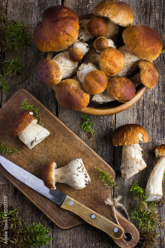 Láminas Boletus, setas, rústico, Plano de fondo