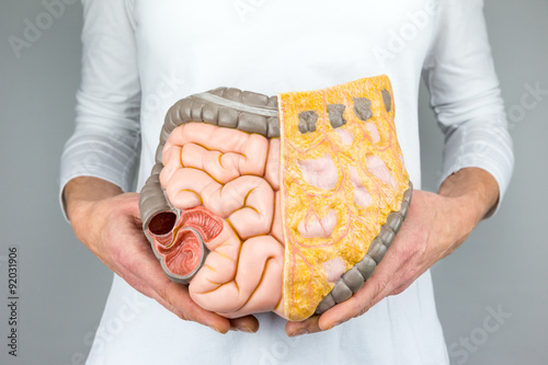 Valokuva  Woman holding model of human intestines in front of body