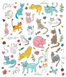 Fototapeta Dinusie - Cute colorful set  of hand drawn cats