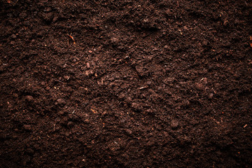 soil