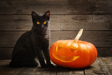 Halloween Pumpkin And Black Cat On Wooden Background