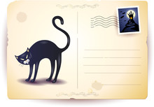 Halloween Postcard With Black Cat