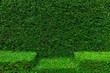 Natural Green leaves wall background, No pattern