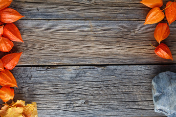 Wall Mural - Fall background