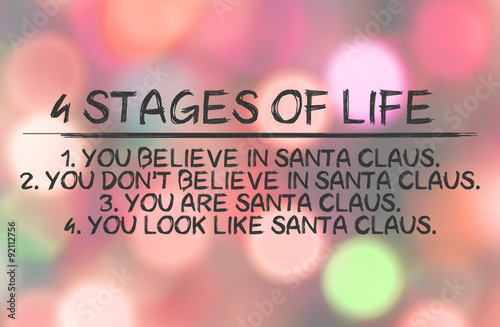 Cuadros en Lienzo Funny quotation about Santa Claus