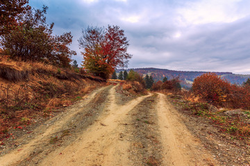 Canvas Print - Colorful autumn road  landscape in the mountains in Transylvania